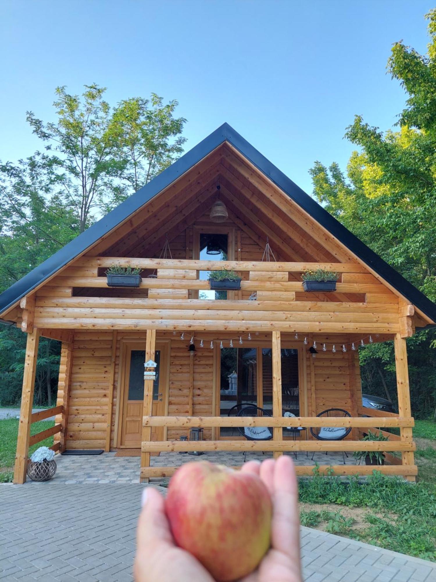 Holiday home Kuca Za Odmor Stara Jabuka